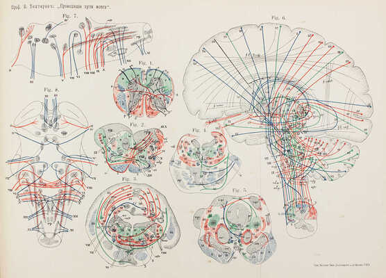 Бехтерев В.М. Проводящие пути спинного и головного мозга. Руководство к изучению внутренних связей мозга. Ч. 2. 1898.